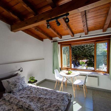 Rustico Al Sole - Just Renewed 1Bedroom Home In Ronco Sopra Ascona Bagian luar foto