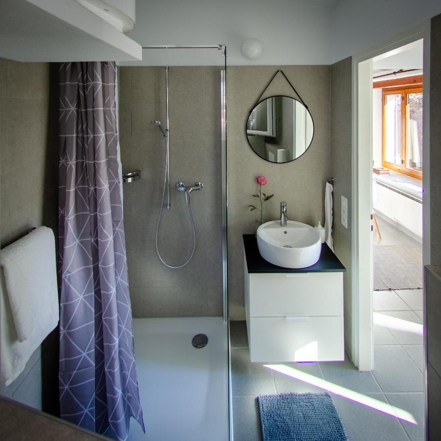Rustico Al Sole - Just Renewed 1Bedroom Home In Ronco Sopra Ascona Bagian luar foto